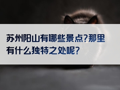 苏州阳山有哪些景点？那里有什么独特之处呢？