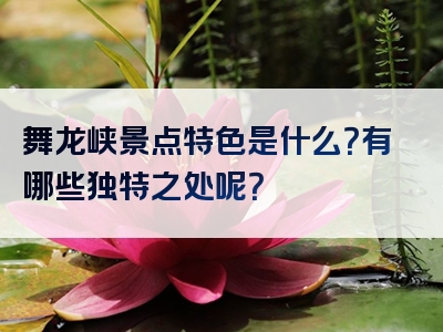 舞龙峡景点特色是什么？有哪些独特之处呢？
