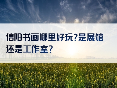 信阳书画哪里好玩？是展馆还是工作室？