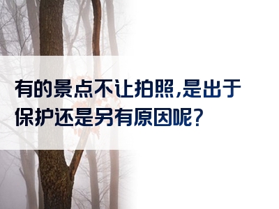 有的景点不让拍照，是出于保护还是另有原因呢？