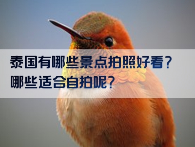 泰国有哪些景点拍照好看？哪些适合自拍呢？