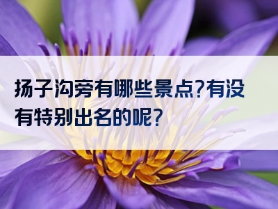 扬子沟旁有哪些景点？有没有特别出名的呢？
