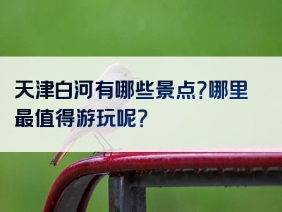 天津白河有哪些景点？哪里最值得游玩呢？