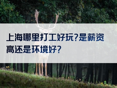 上海哪里打工好玩？是薪资高还是环境好？