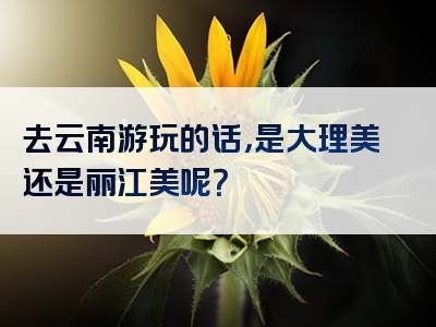 去云南游玩的话，是大理美还是丽江美呢？