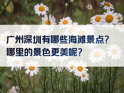 广州深圳有哪些海滩景点？哪里的景色更美呢？