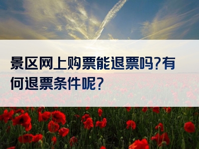 景区网上购票能退票吗？有何退票条件呢？