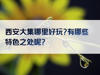 西安大集哪里好玩？有哪些特色之处呢？