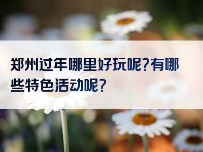 郑州过年哪里好玩呢？有哪些特色活动呢？
