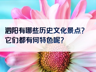 泗阳有哪些历史文化景点？它们都有何特色呢？