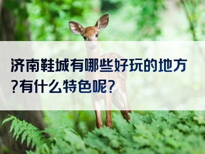 济南鞋城有哪些好玩的地方？有什么特色呢？