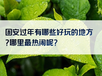 固安过年有哪些好玩的地方？哪里最热闹呢？