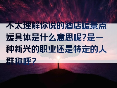 不太理解你说的酒店媛景点媛具体是什么意思呢？是一种新兴的职业还是特定的人群称呼？