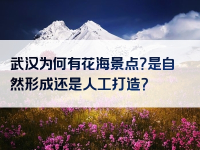 武汉为何有花海景点？是自然形成还是人工打造？