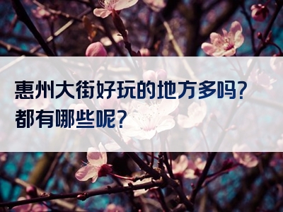 惠州大街好玩的地方多吗？都有哪些呢？