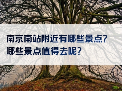 南京南站附近有哪些景点？哪些景点值得去呢？