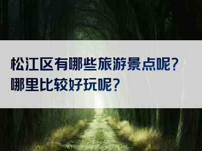 松江区有哪些旅游景点呢？哪里比较好玩呢？