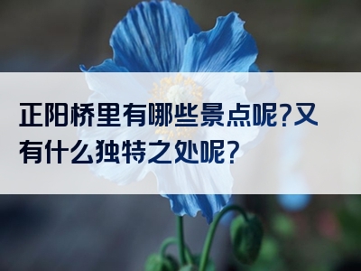 正阳桥里有哪些景点呢？又有什么独特之处呢？