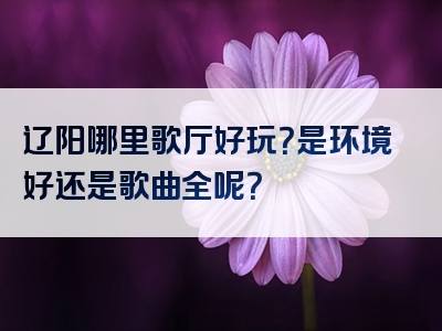 辽阳哪里歌厅好玩？是环境好还是歌曲全呢？