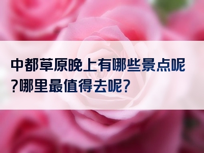 中都草原晚上有哪些景点呢？哪里最值得去呢？