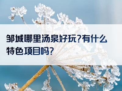 邹城哪里汤泉好玩？有什么特色项目吗？