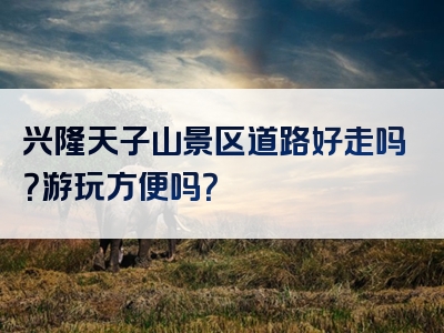 兴隆天子山景区道路好走吗？游玩方便吗？