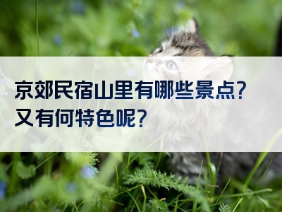 京郊民宿山里有哪些景点？又有何特色呢？