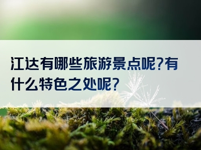 江达有哪些旅游景点呢？有什么特色之处呢？