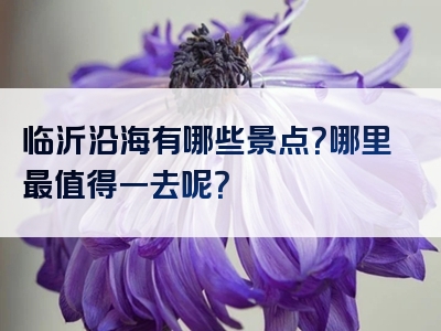临沂沿海有哪些景点？哪里最值得一去呢？