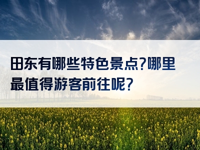 田东有哪些特色景点？哪里最值得游客前往呢？