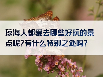 琼海人都爱去哪些好玩的景点呢？有什么特别之处吗？