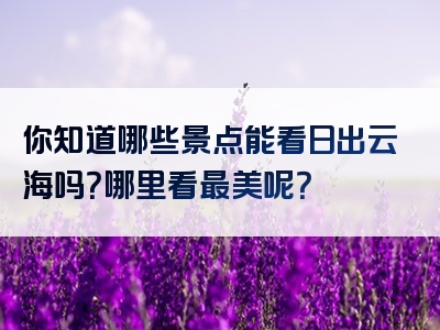 你知道哪些景点能看日出云海吗？哪里看最美呢？