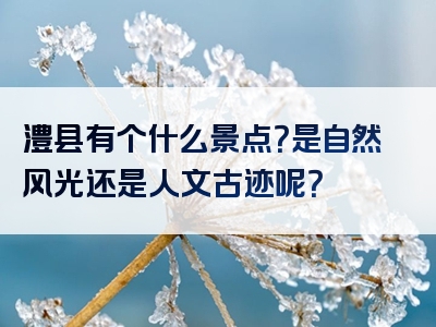 澧县有个什么景点？是自然风光还是人文古迹呢？