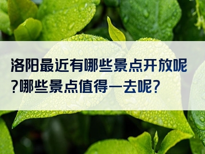 洛阳最近有哪些景点开放呢？哪些景点值得一去呢？