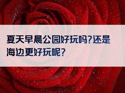 夏天早晨公园好玩吗？还是海边更好玩呢？