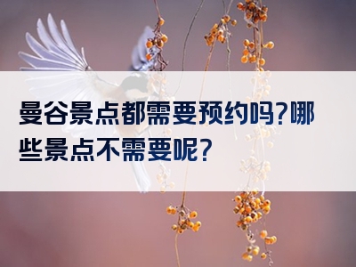 曼谷景点都需要预约吗？哪些景点不需要呢？