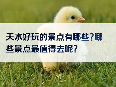 天水好玩的景点有哪些？哪些景点最值得去呢？