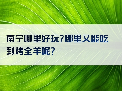 南宁哪里好玩？哪里又能吃到烤全羊呢？