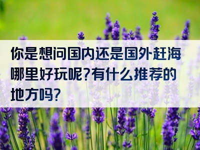 你是想问国内还是国外赶海哪里好玩呢？有什么推荐的地方吗？