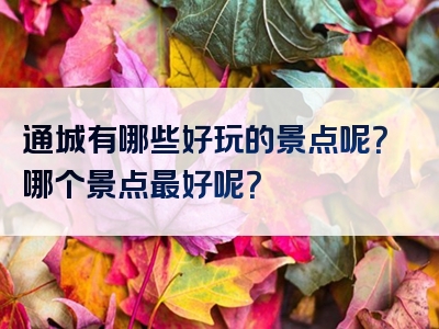 通城有哪些好玩的景点呢？哪个景点最好呢？