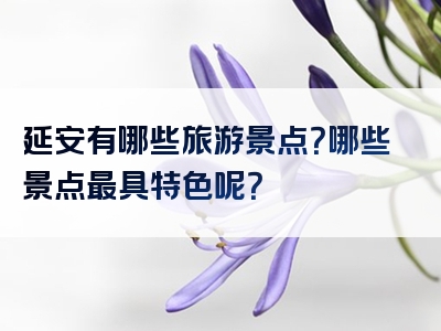 延安有哪些旅游景点？哪些景点最具特色呢？