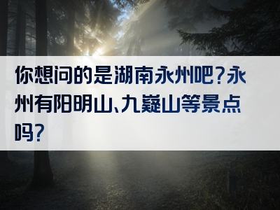 你想问的是湖南永州吧？永州有阳明山、九嶷山等景点吗？