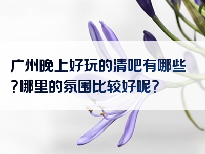 广州晚上好玩的清吧有哪些？哪里的氛围比较好呢？