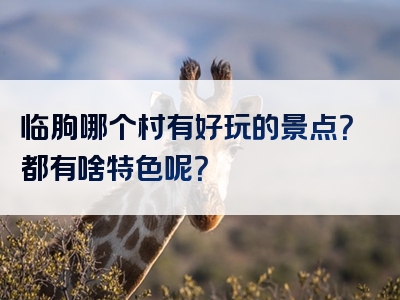 临朐哪个村有好玩的景点？都有啥特色呢？