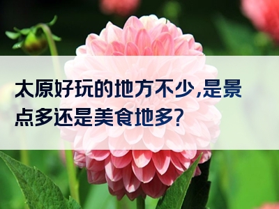 太原好玩的地方不少，是景点多还是美食地多？