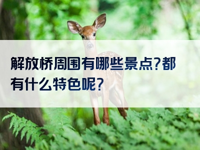 解放桥周围有哪些景点？都有什么特色呢？