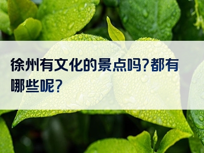 徐州有文化的景点吗？都有哪些呢？