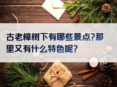 古老樟树下有哪些景点？那里又有什么特色呢？