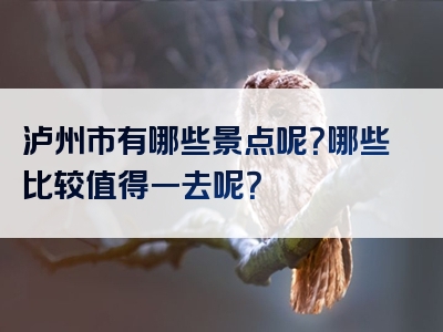 泸州市有哪些景点呢？哪些比较值得一去呢？