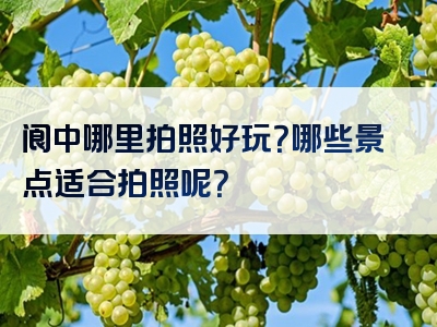 阆中哪里拍照好玩？哪些景点适合拍照呢？
